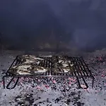 Taja, Cijela Kuca I Vrt Samo Za Vas Split