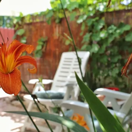 Taja, Cijela Kuca I Vrt Samo Za Vas Split